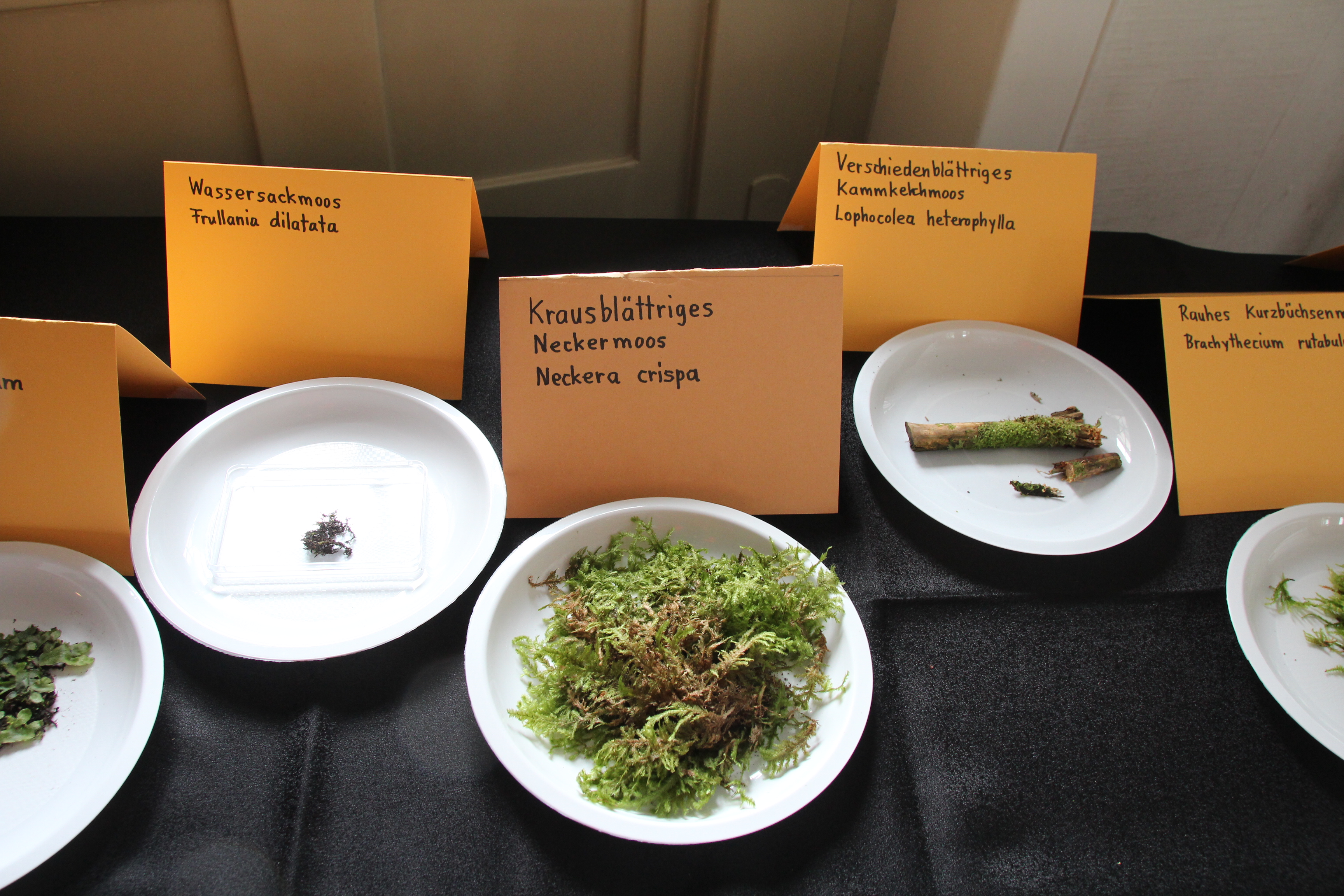Veranstaltung Bild