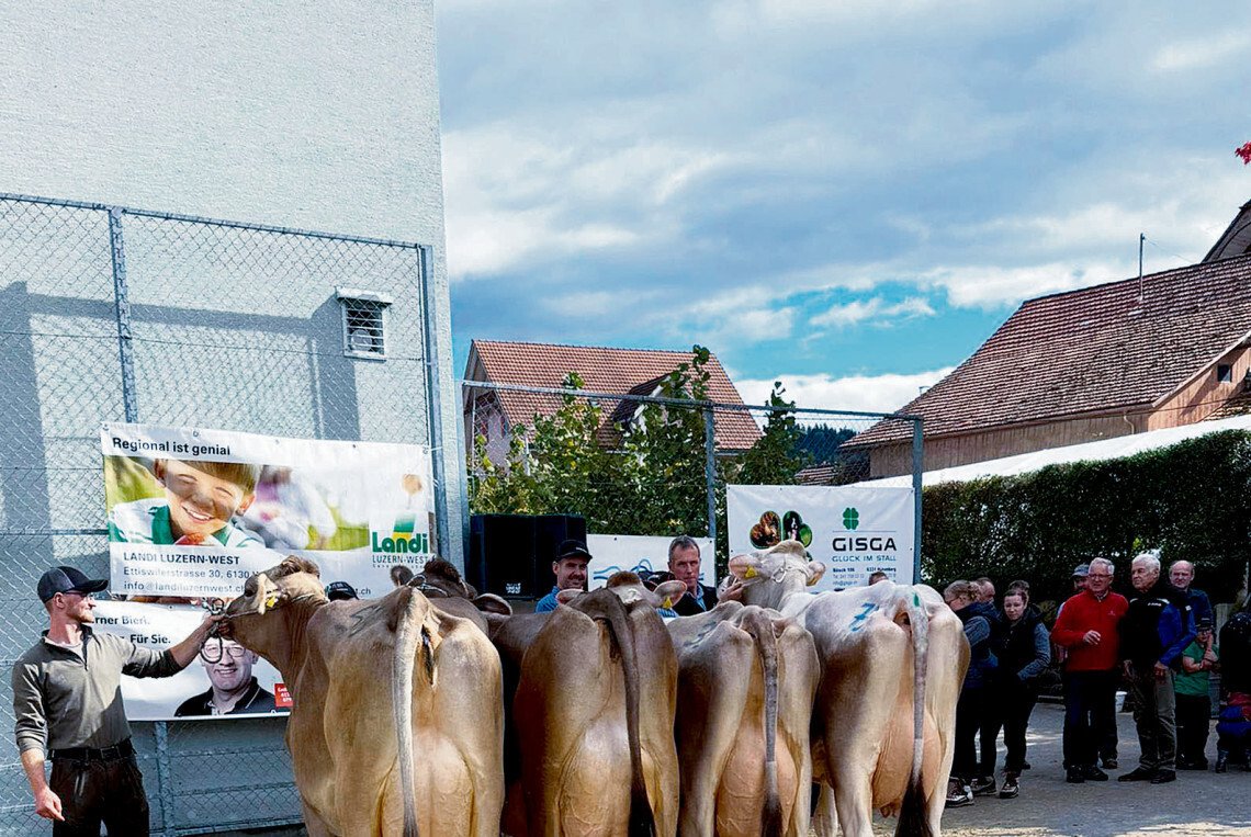 Viel Lob für sehr gute Qualität