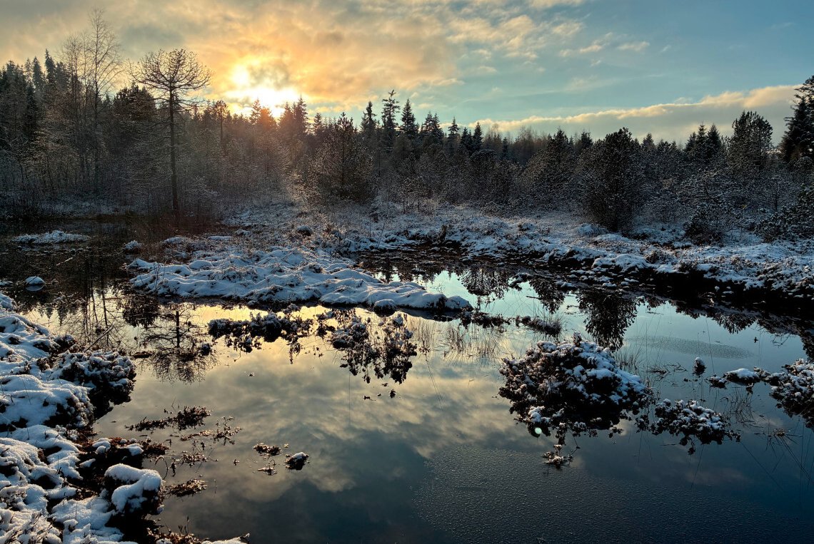Renaturierung im Balmoos abgeschlossen