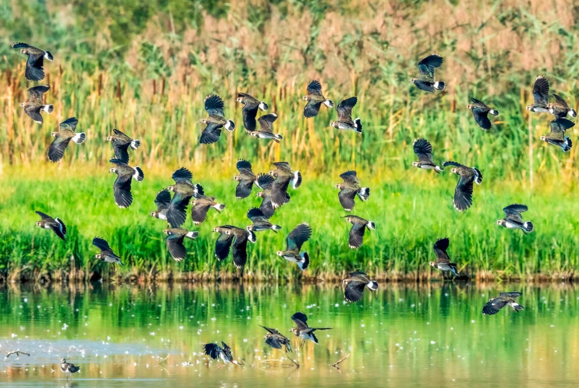 Mit allen Sinnen durchs Jahr