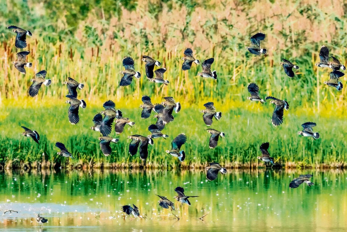 Mit allen Sinnen durchs Jahr