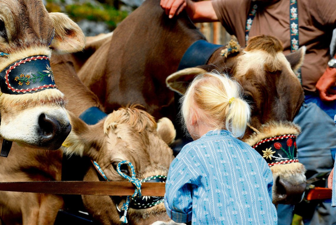 Vereinsgründung «Lebendige Alpsaison»