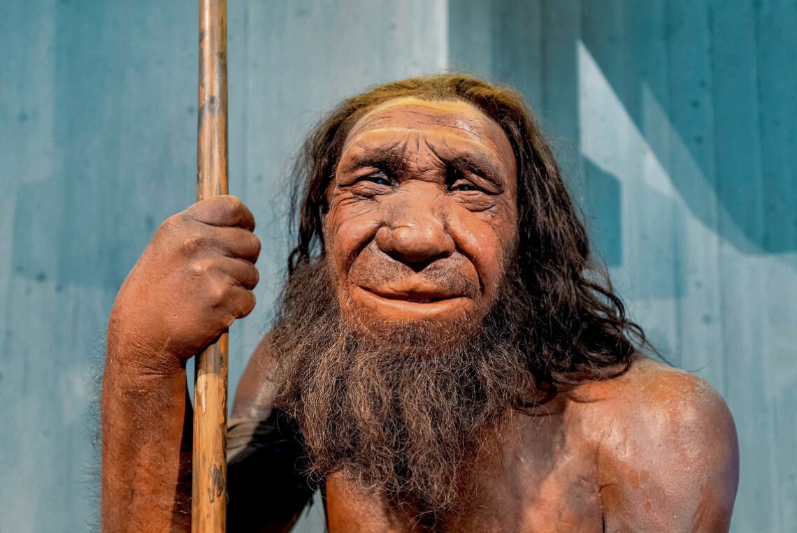 Neandertaler-DNA liefert neue Erkenntnisse