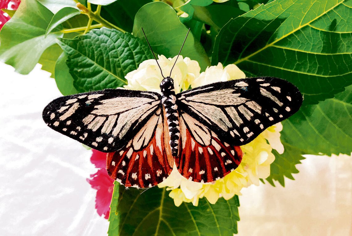 Pianistin inszeniert Schmetterlinge auf Seide
