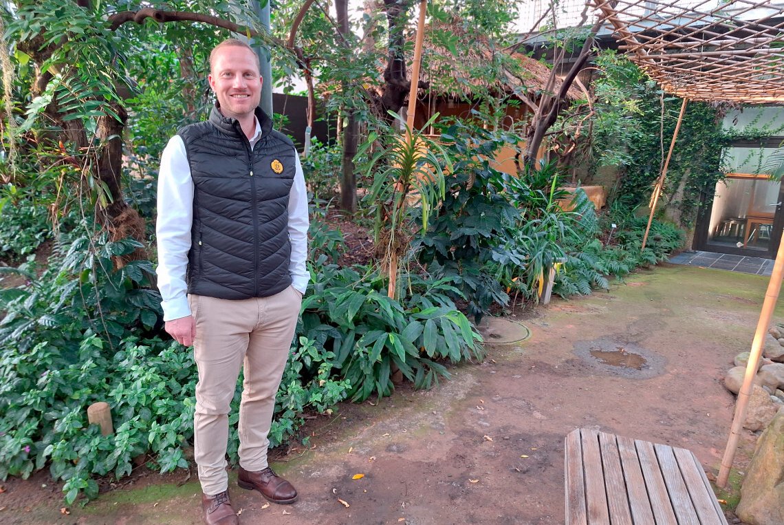 Vom Dschungel zum Event-Lokal