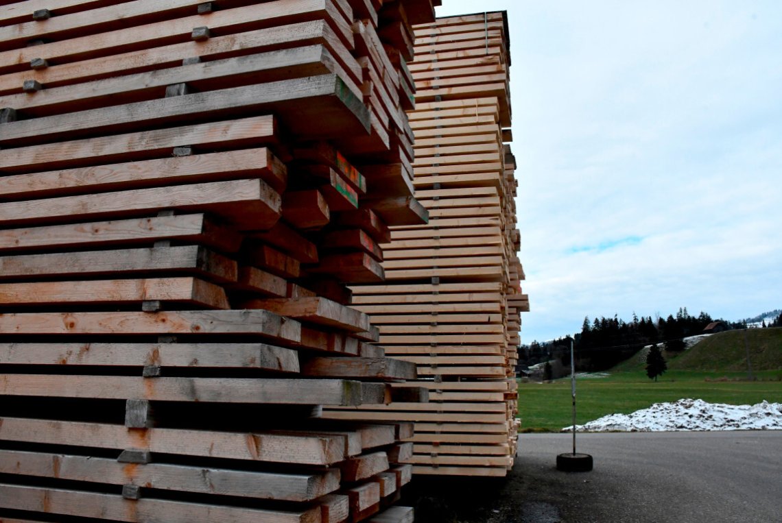 Warum Schweizer Holz ein echter Zukunftsrohstoff ist