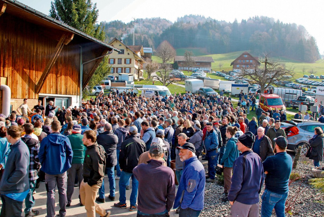 Zum Ersten, zum Zweiten und zum Dritten …