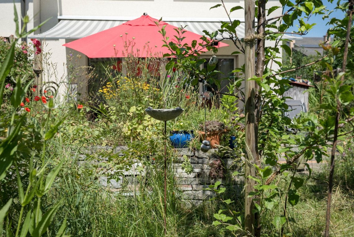 Kostenlose Naturtipps für Ihren Garten