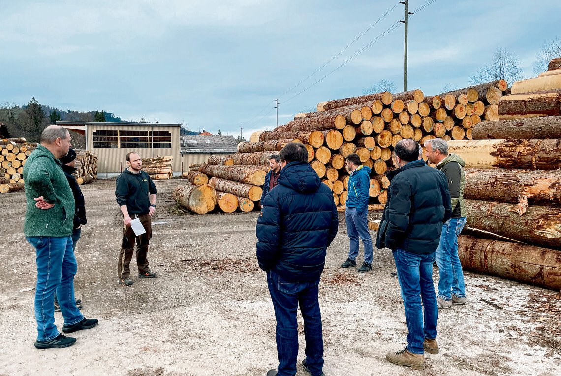 Holz am Bau bleibt gefragt